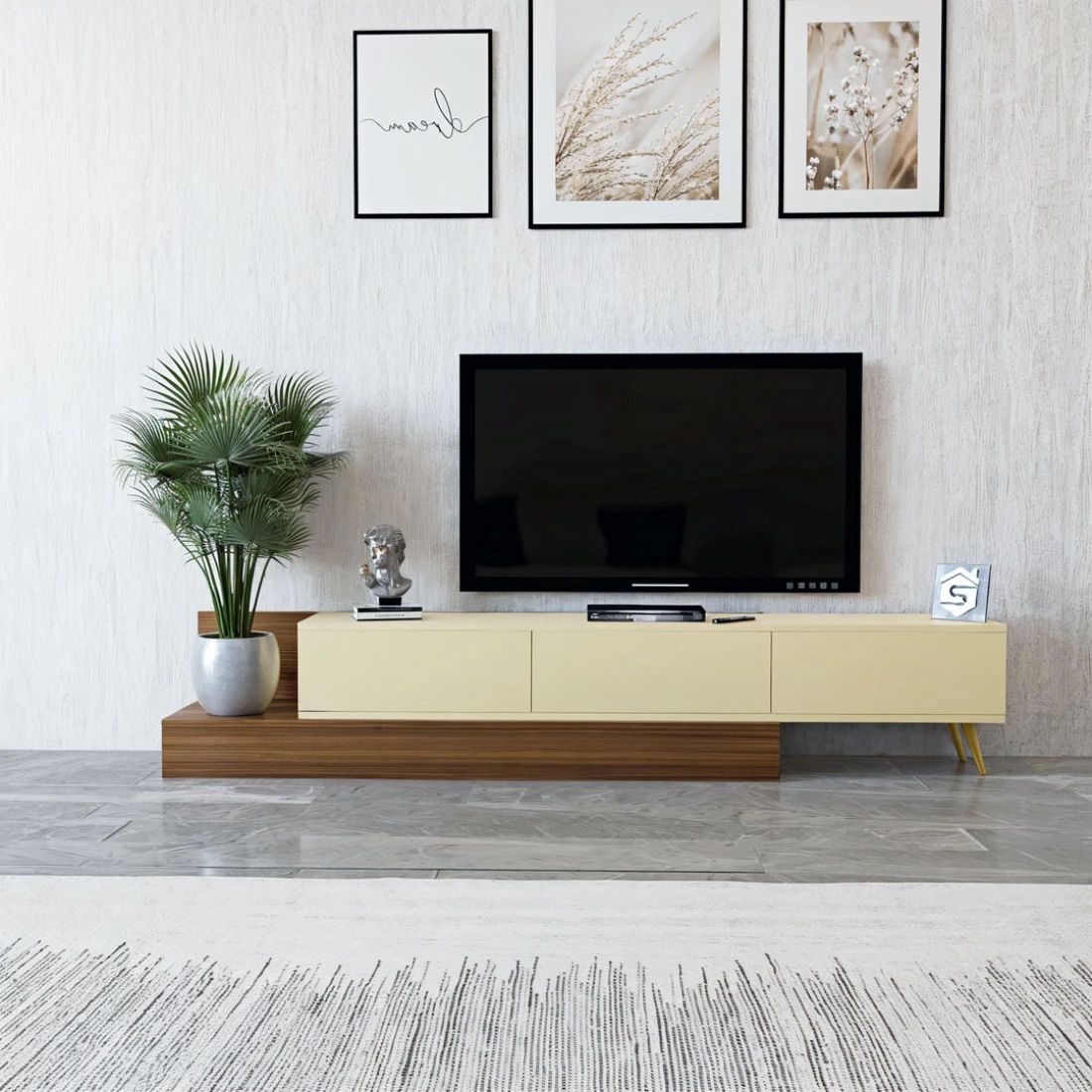 Adjustable Modern TV Cabinet with Spacious Storage